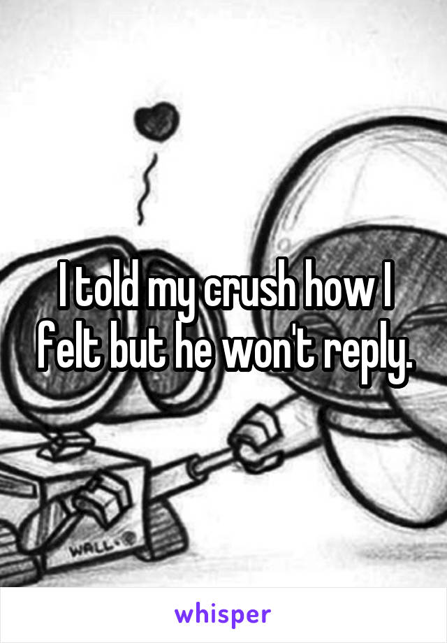 I told my crush how I felt but he won't reply.