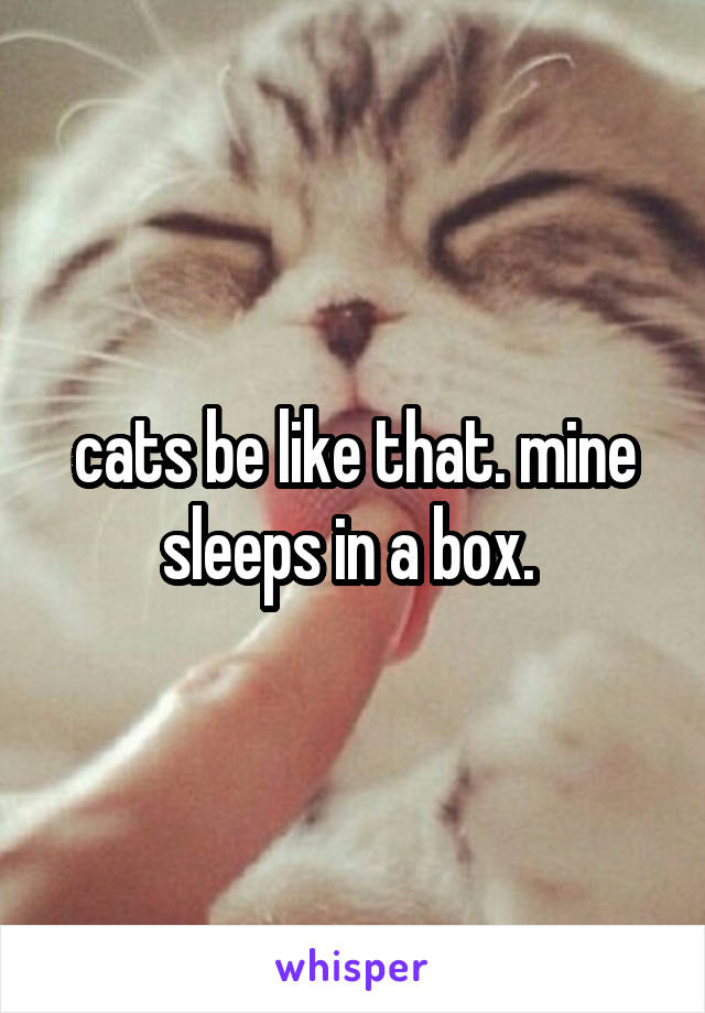 cats be like that. mine sleeps in a box. 