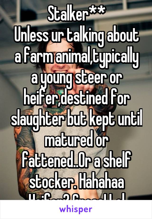 Stalker**
Unless ur talking about a farm animal,typically a young steer or heifer,destined for slaughter but kept until matured or fattened..Or a shelf stocker. Hahahaa
Heifer? Gross! Lol