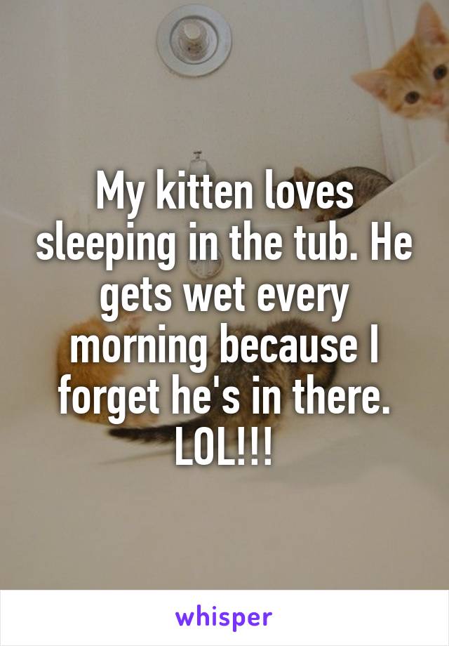 My kitten loves sleeping in the tub. He gets wet every morning because I forget he's in there. LOL!!!