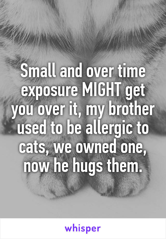 Small and over time exposure MIGHT get you over it, my brother used to be allergic to cats, we owned one, now he hugs them.