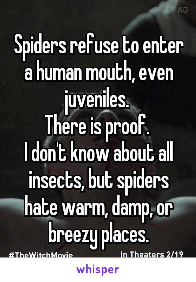Spiders refuse to enter a human mouth, even juveniles. 
There is proof. 
I don't know about all insects, but spiders hate warm, damp, or breezy places.