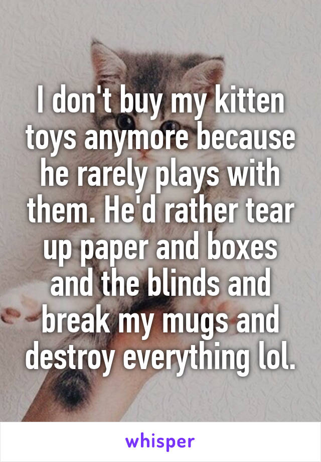 I don't buy my kitten toys anymore because he rarely plays with them. He'd rather tear up paper and boxes and the blinds and break my mugs and destroy everything lol.