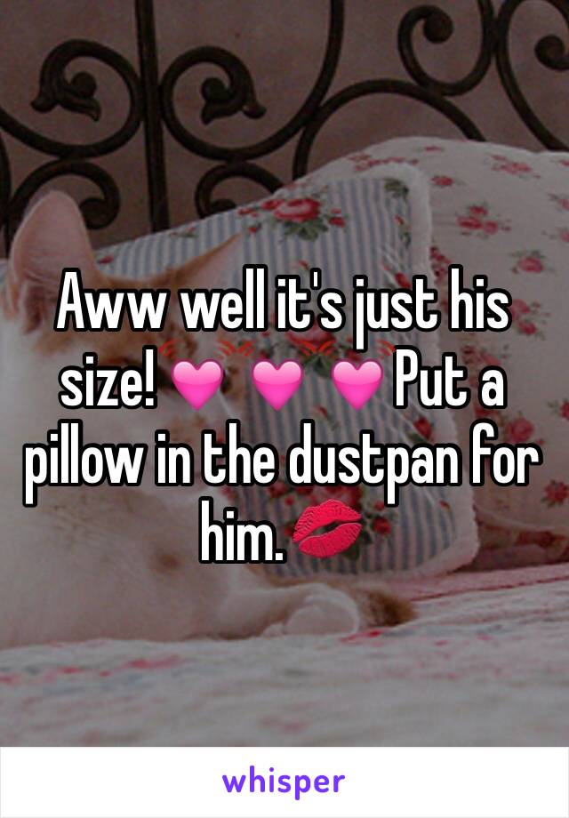 Aww well it's just his size!💓💓💓Put a pillow in the dustpan for him.💋