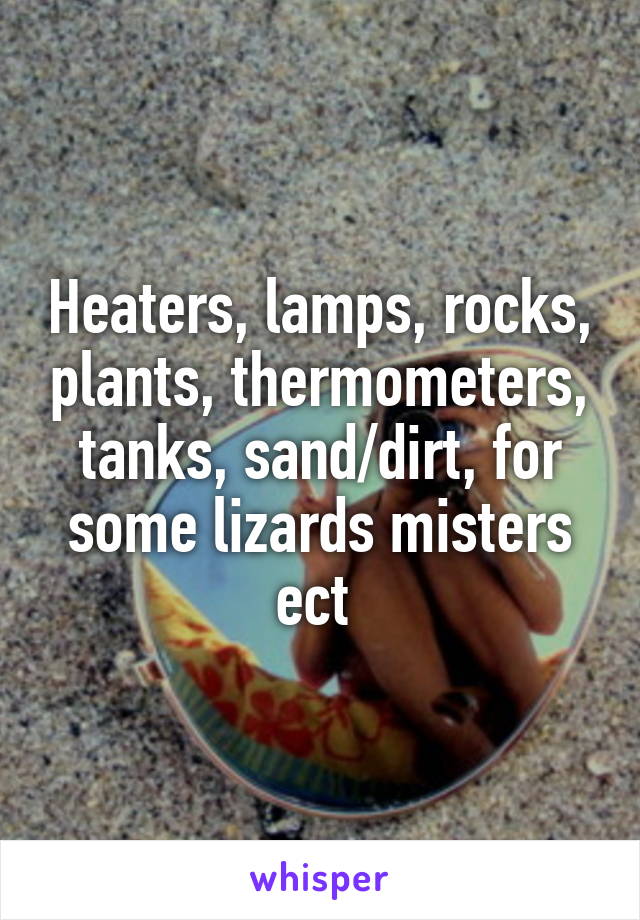 Heaters, lamps, rocks, plants, thermometers, tanks, sand/dirt, for some lizards misters ect 