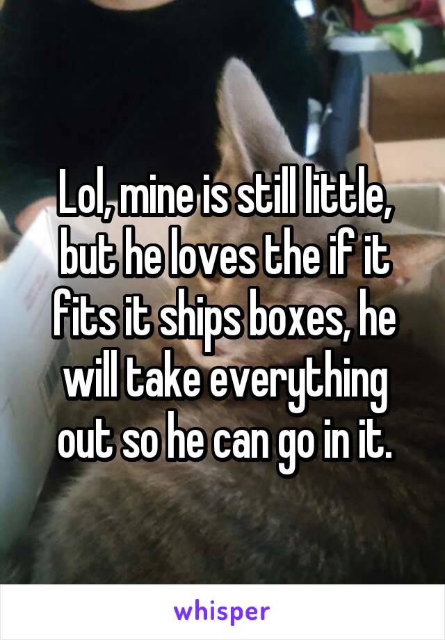 Lol, mine is still little, but he loves the if it fits it ships boxes, he will take everything out so he can go in it.