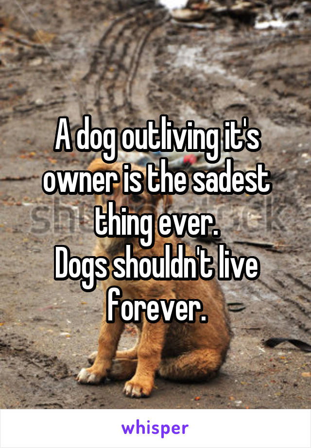 A dog outliving it's owner is the sadest thing ever.
Dogs shouldn't live forever.