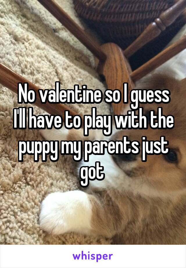 No valentine so I guess I'll have to play with the puppy my parents just got 