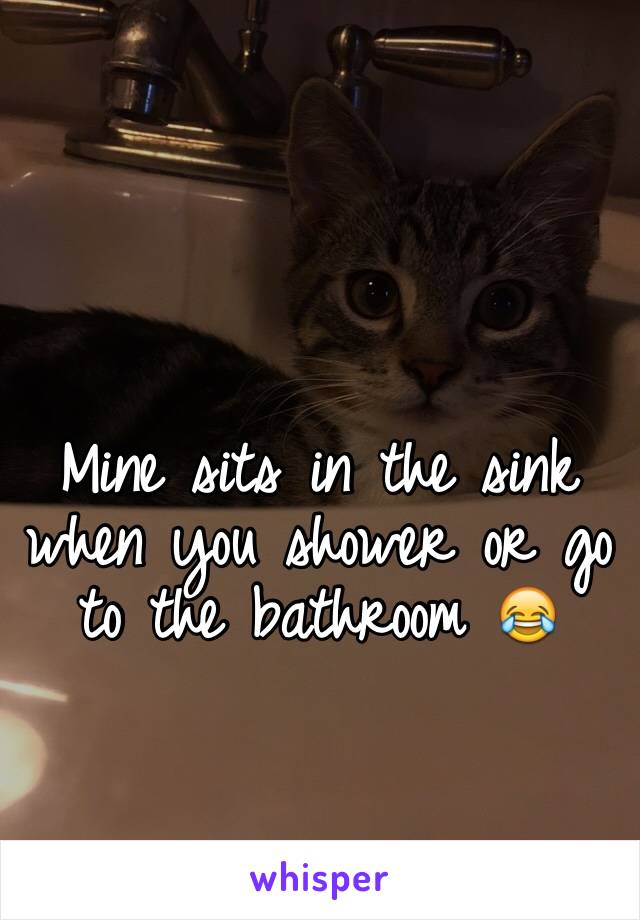 Mine sits in the sink when you shower or go to the bathroom 😂