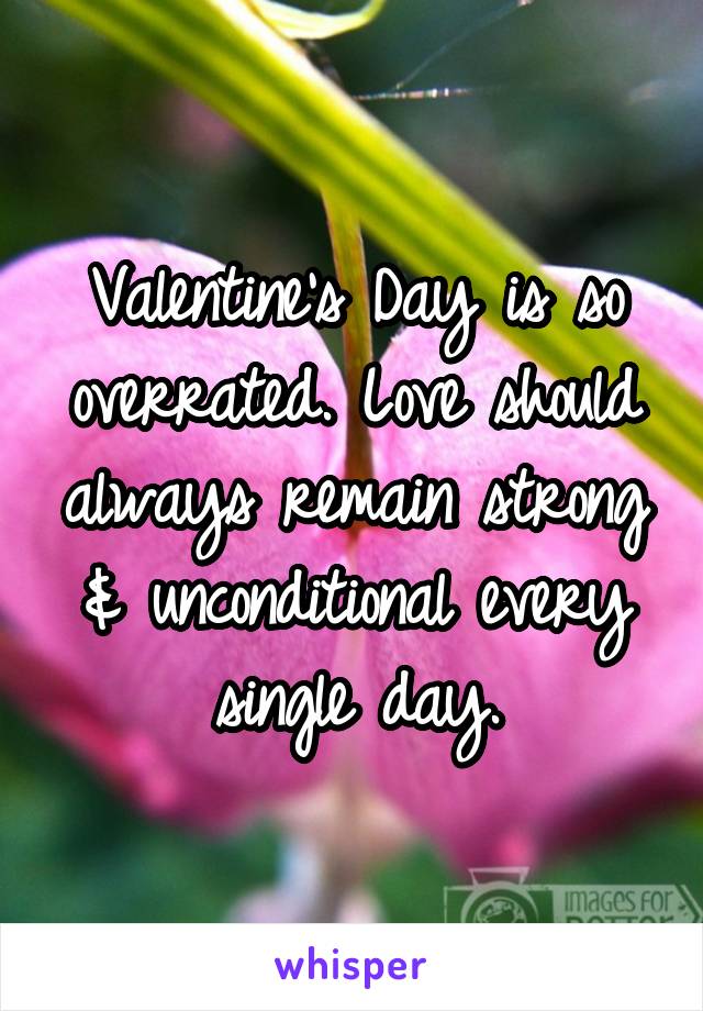 Valentine's Day is so overrated. Love should always remain strong & unconditional every single day.
