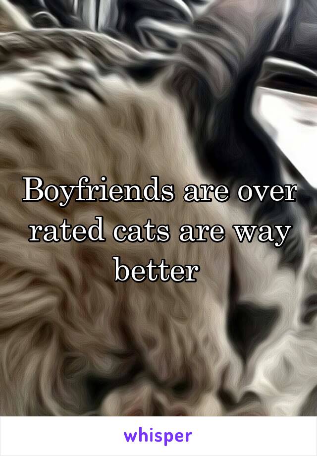 Boyfriends are over rated cats are way better 