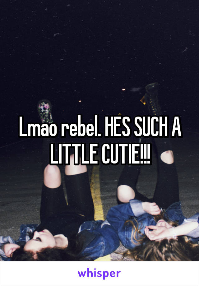 Lmao rebel. HES SUCH A LITTLE CUTIE!!!