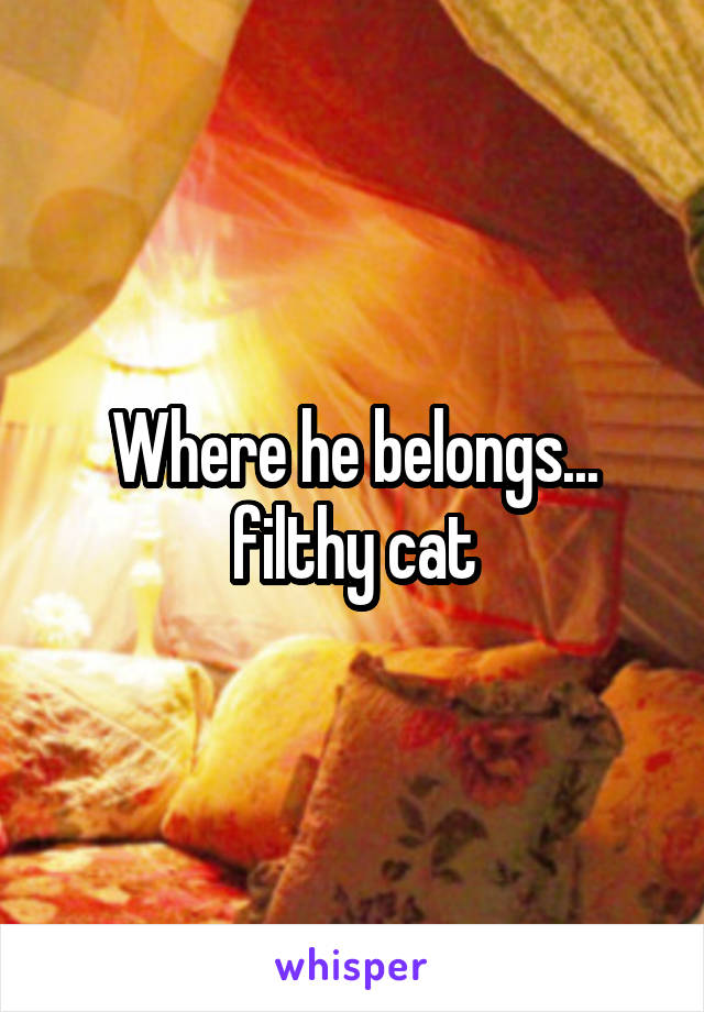 Where he belongs... filthy cat