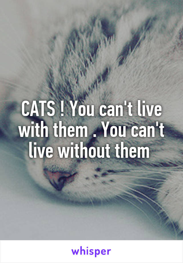 CATS ! You can't live with them . You can't live without them 