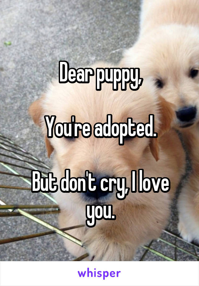 Dear puppy,

You're adopted.

But don't cry, I love you.