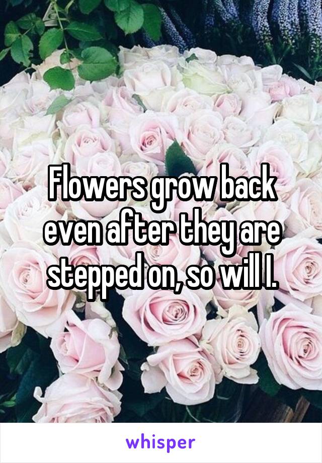 Flowers grow back even after they are stepped on, so will I.