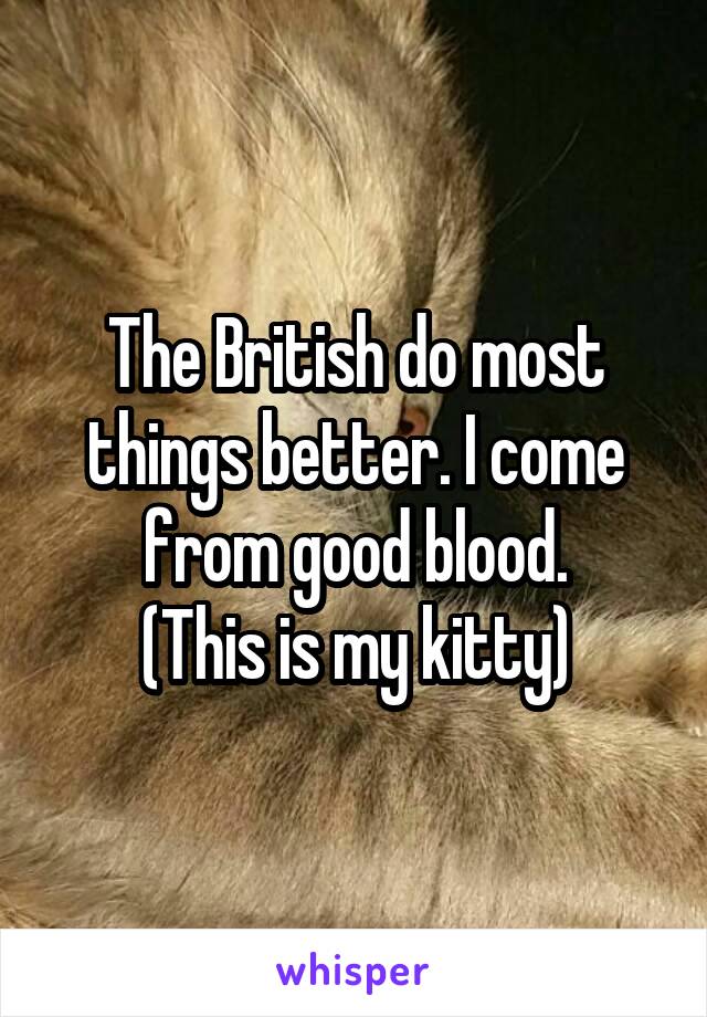 The British do most things better. I come from good blood.
(This is my kitty)