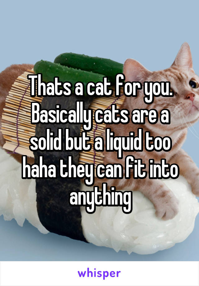 Thats a cat for you.
Basically cats are a solid but a liquid too haha they can fit into anything