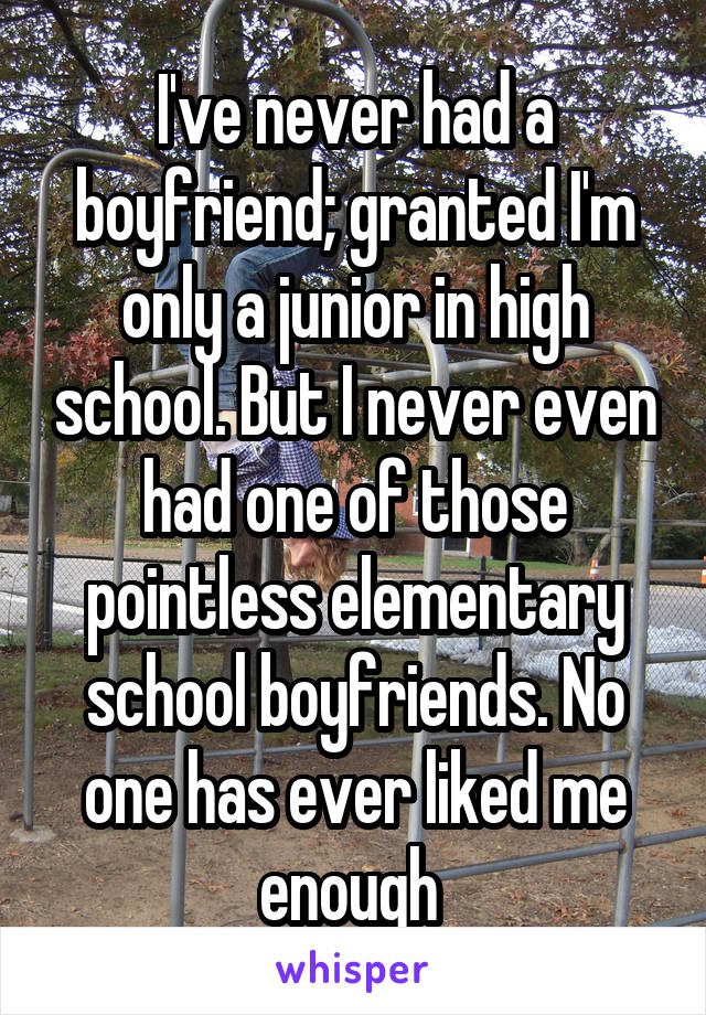 I've never had a boyfriend; granted I'm only a junior in high school. But I never even had one of those pointless elementary school boyfriends. No one has ever liked me enough 