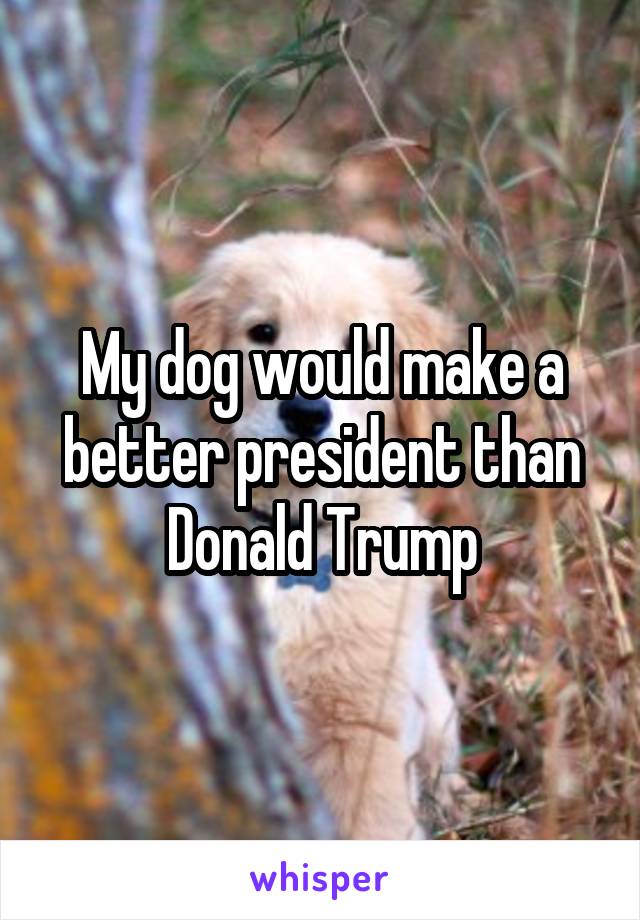 My dog would make a better president than Donald Trump