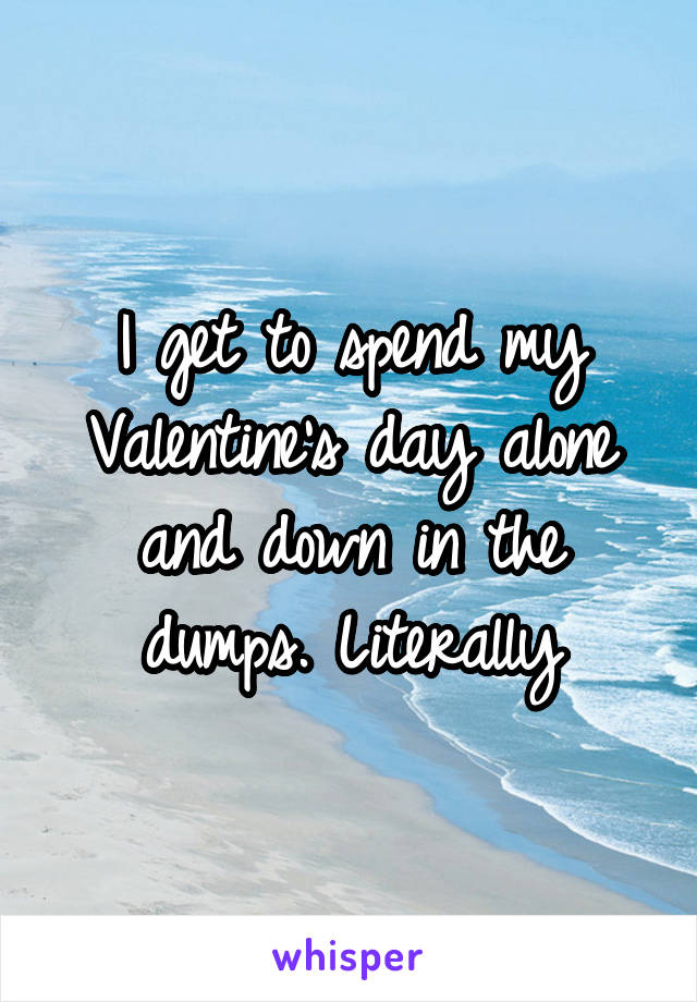 I get to spend my Valentine's day alone and down in the dumps. Literally