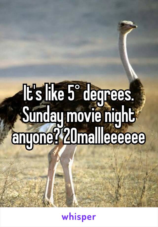 It's like 5° degrees. Sunday movie night anyone? 20mallleeeeee