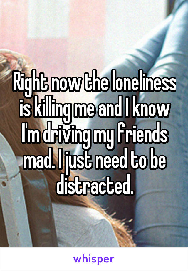 Right now the loneliness is killing me and I know I'm driving my friends mad. I just need to be distracted.