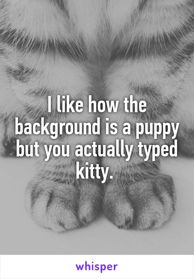 I like how the background is a puppy but you actually typed kitty. 