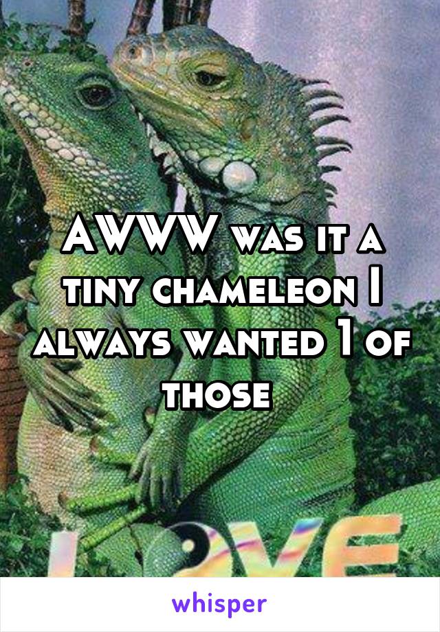 AWWW was it a tiny chameleon I always wanted 1 of those 