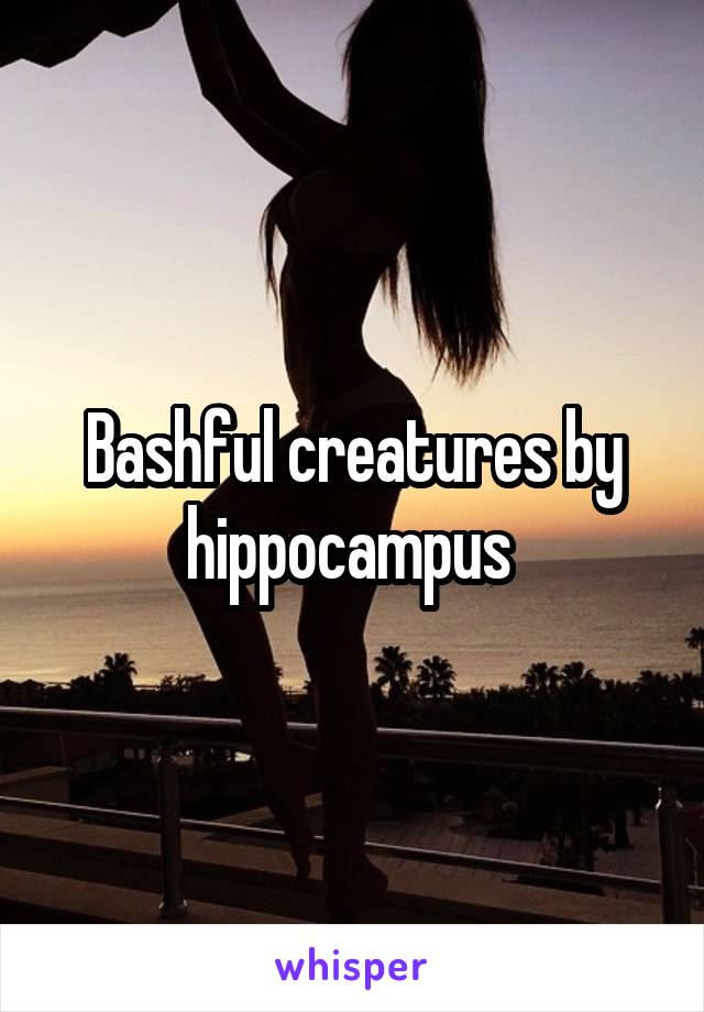 Bashful creatures by hippocampus 