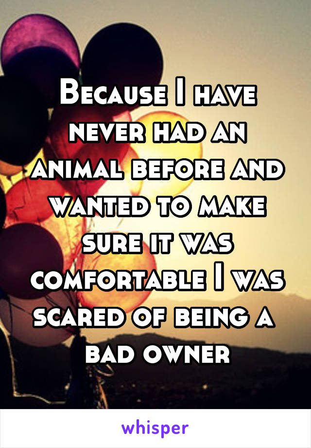 Because I have never had an animal before and wanted to make sure it was comfortable I was scared of being a 
bad owner