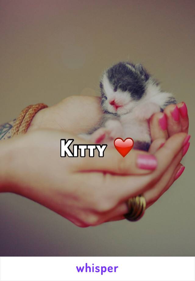 Kitty ❤️
