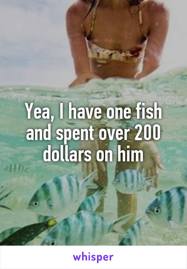 Yea, I have one fish and spent over 200 dollars on him