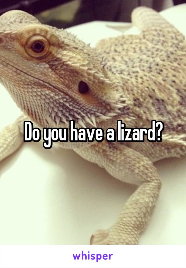 Do you have a lizard?