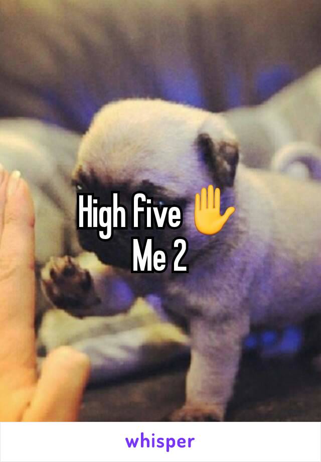 High five✋
Me 2