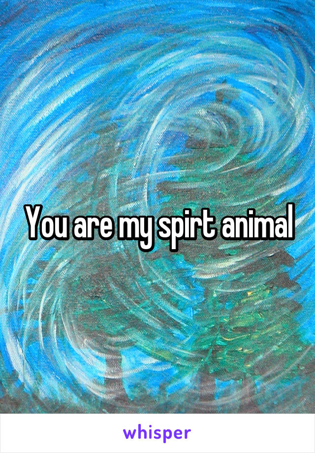 You are my spirt animal