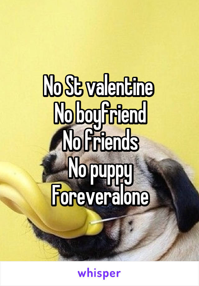 No St valentine 
No boyfriend
No friends
No puppy
Foreveralone