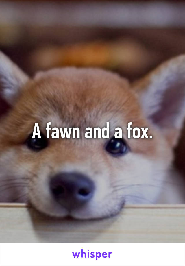A fawn and a fox.