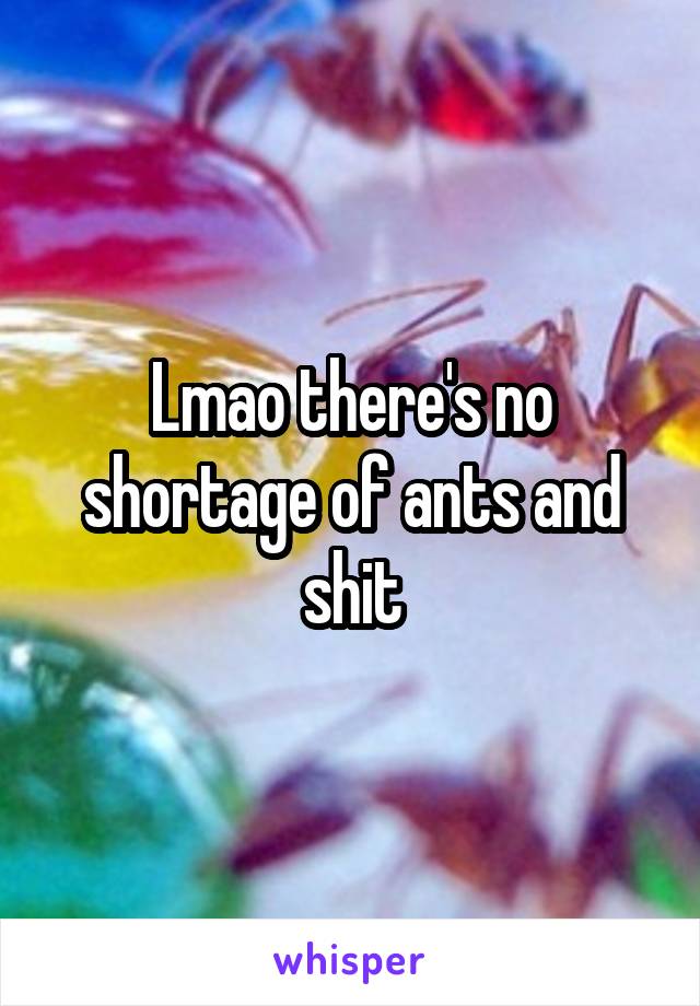 Lmao there's no shortage of ants and shit