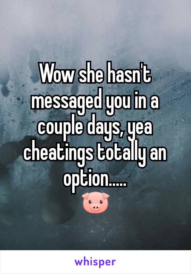 Wow she hasn't messaged you in a couple days, yea cheatings totally an option.....
🐷