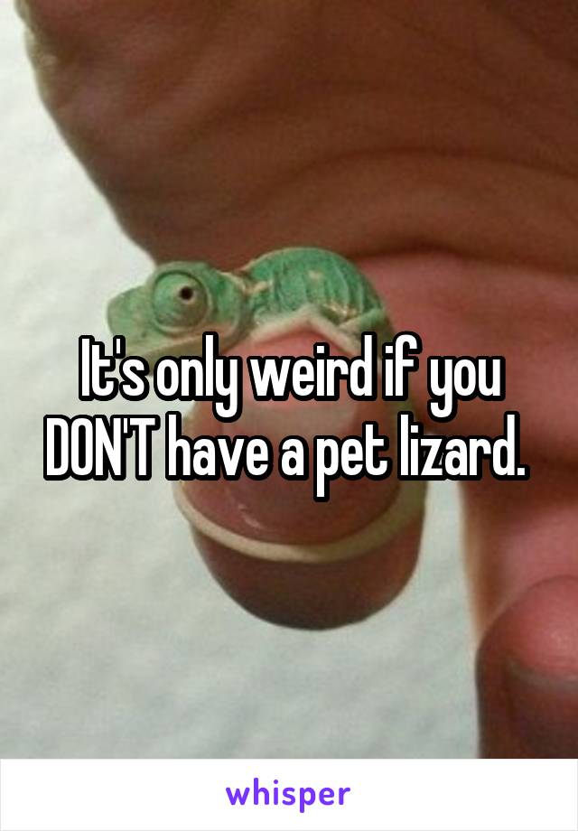 It's only weird if you DON'T have a pet lizard. 