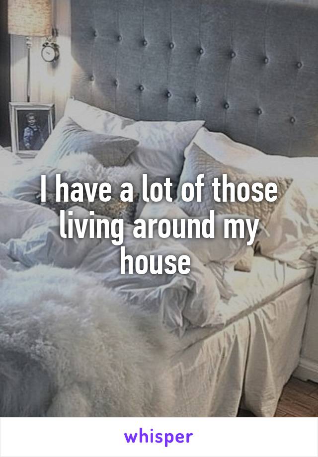 I have a lot of those living around my house 