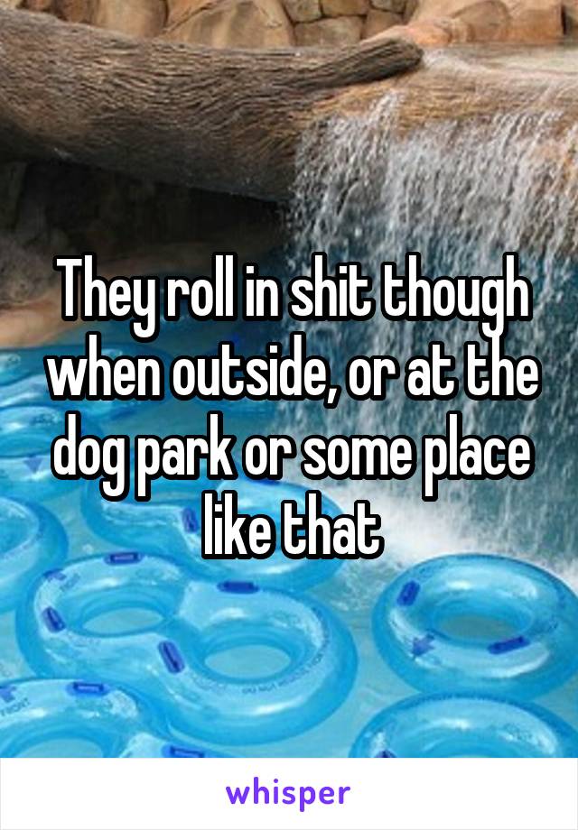 They roll in shit though when outside, or at the dog park or some place like that