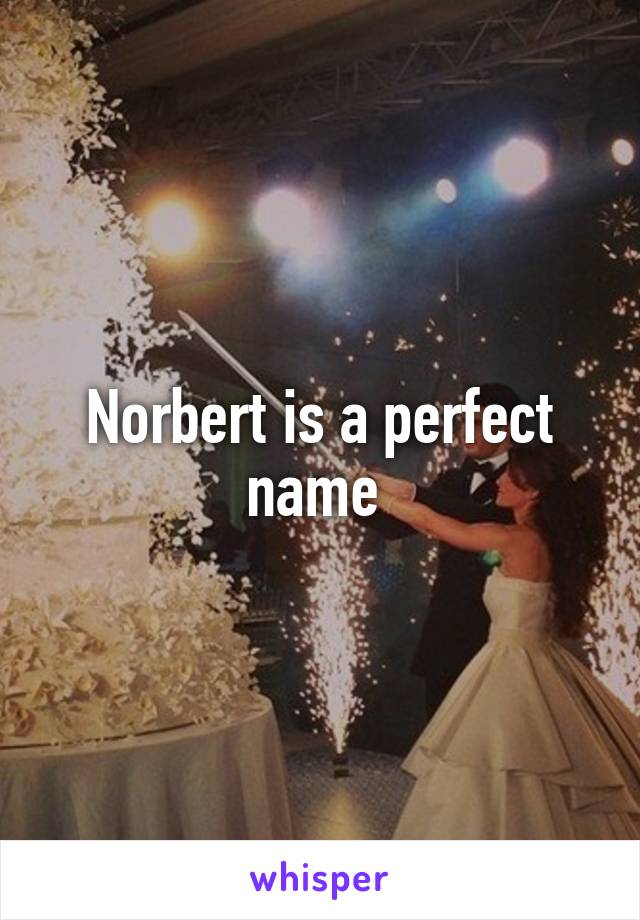 Norbert is a perfect name 