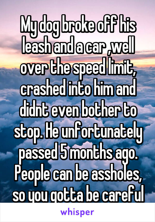 My dog broke off his leash and a car ,well over the speed limit, crashed into him and didnt even bother to stop. He unfortunately passed 5 months ago. People can be assholes, so you gotta be careful