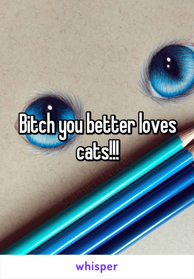 Bitch you better loves cats!!!