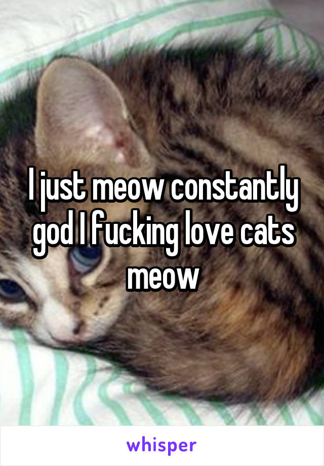 I just meow constantly god I fucking love cats meow