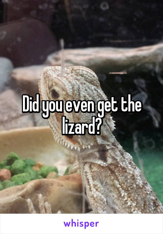 Did you even get the lizard?