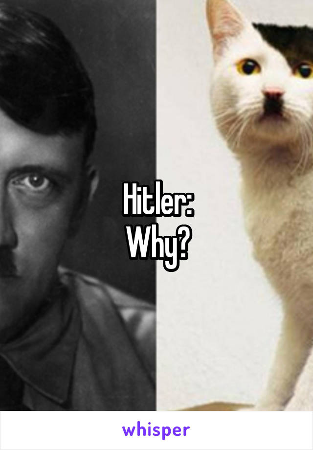 Hitler:
Why?