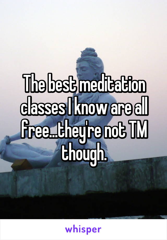 The best meditation classes I know are all free...they're not TM though.